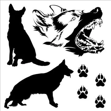 German Shepherd Dogs Stock Illustration
