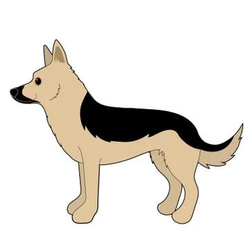 German Shepherd Stock Illustration