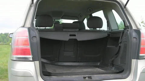 German shepherd jumping in the car Stock Footage