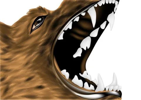 German shepherd portrait Stock Illustration