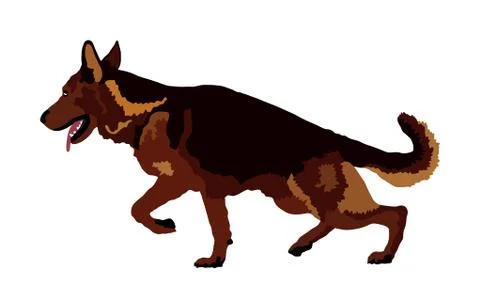 German Shepherd running dog vector illustration isolated イラスト素材