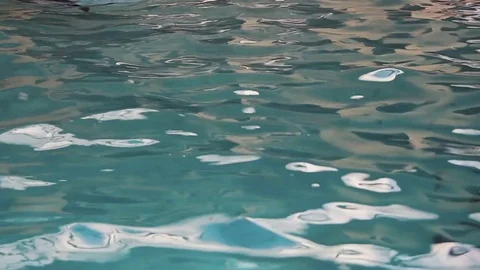 German Shepherd Swimming in pool Stock Footage 76903507