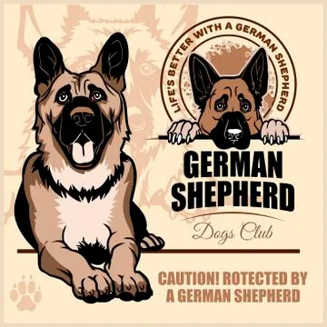 German Shepherd - vector set for t-shirt, logo and template badges on light Stock Illustration
