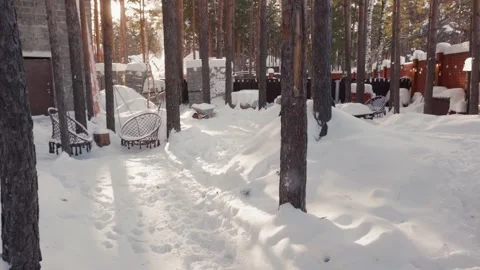 German Shepherds Playing in a Snowy Backyard 스톡 동영상 332449793