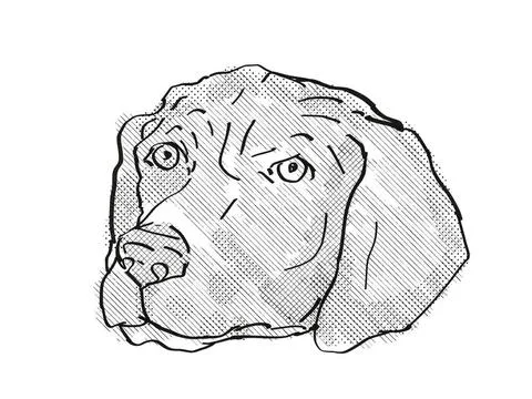 German Shorthaired Pointer Dog Breed Cartoon Retro Drawing Retro cartoon s... Stock Photos