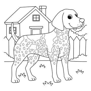 German Shorthaired Pointer Dog Coloring Stock Illustration