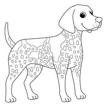 German Shorthaired Pointer Dog Isolated Coloring Illustrazione stock