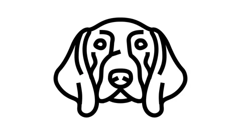 German shorthaired pointer dog puppy pet line icon animation Stock Footage 326134044