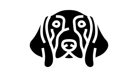 German shorthaired pointer dog puppy pet glyph icon animation Stock Footage 326155559