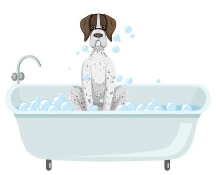 German Shorthaired Pointer Dog Sitting in Bathtub Stock Illustration