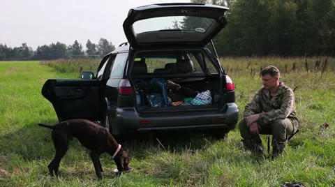 German Shorthaired Pointer eat dog food after hunting Stock Footage 34267259