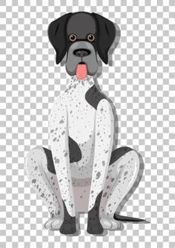 German Shorthaired Pointer in sitting position cartoon character isolated on  Illustrazione stock