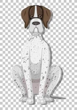 German Shorthaired Pointer in sitting position cartoon character isolated on  Illustrazione stock