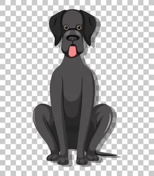 German Shorthaired Pointer in sitting position cartoon character isolated on  Stock Illustration
