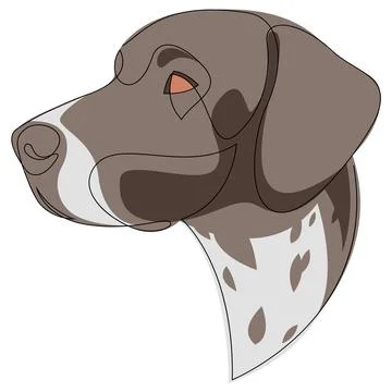 German Shorthaired Pointer vector Dog portrait. Continuous line with colour. Dog Stock Illustration