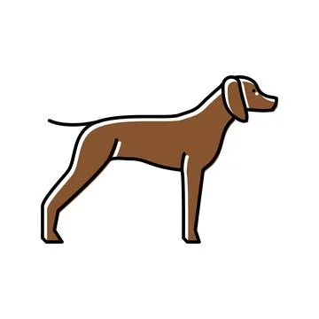German shrothaired pointer dog color icon vector illustration Stock Illustration