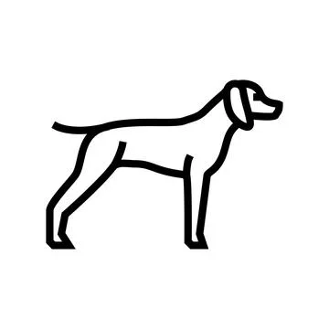 German shrothaired pointer dog line icon vector illustration Illustrazione stock