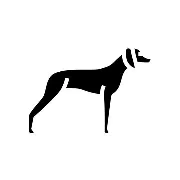 German shrothaired pointer dog line icon vector illustration Stock Illustration