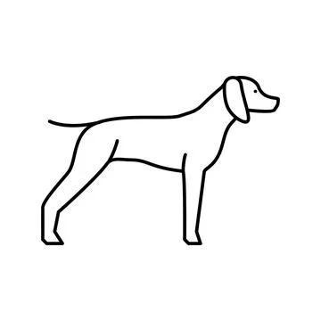 German shrothaired pointer dog line icon vector illustration Stock Illustration