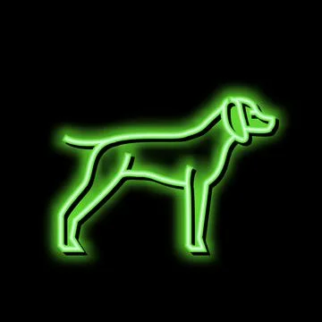 German shrothaired pointer dog neon glow icon illustration Stockillustratie