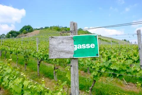 German sign in vinyards Stock Photos