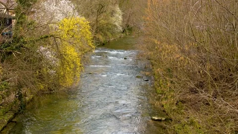 German stream with trees and bushes in spring with cascades in slow motion Stock Footage 236424554