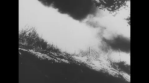 German troops advance, Luftwaffe planes fly over Stock Footage 103378324