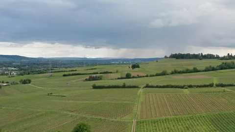 German Vineyards Видео 110749349