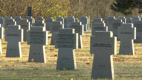 German War Graves Hungary Stock Footage 101685502