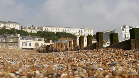 German Wirehaired Pointer dog running on pebbled beach 4K Stock Footage 123465916