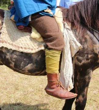 Germanic horseman Stock Photos