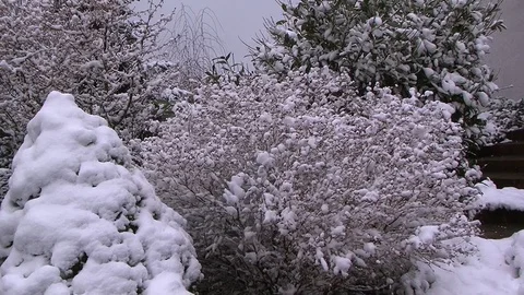 GermanSnow15.0 Stock Footage 89987942
