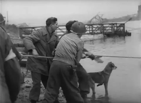 GERMANY - 1945: Bridge Collapse - Bank Party Pays Out a Line Stock Footage 343942516