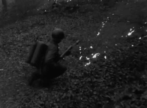 GERMANY - 1945: Flame exercise - Training Flames Sweep Up the Wooded Bank Stock Footage 344492555