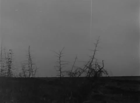 GERMANY - 1945: Mechanized force - Armored column halts in winter field Stock Footage 344492721