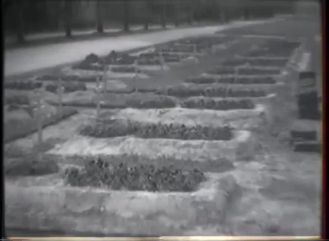 GERMANY - 1945: War Graves — Grave mounds with wooden crosses 動画素材 342819539