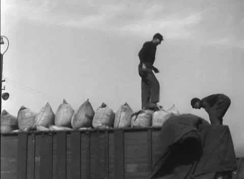 GERMANY - 1948: Freight stack work - Men balance atop a loaded railway wagon Stock Footage 344496238