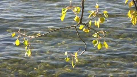 Germany Ammersee lake Cure park in Herrsching Stock Footage