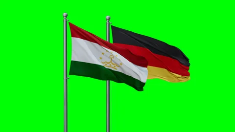 Germany and Tajikistan two flags Stock Footage 295109725