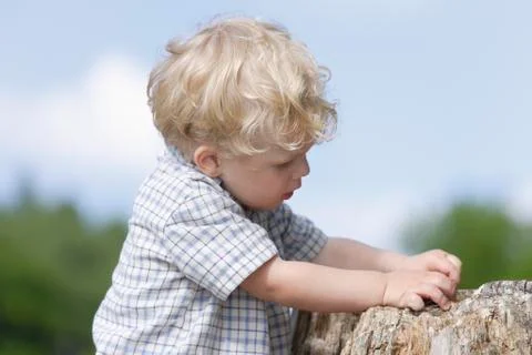 Germany, Bavaria, Boy exploring tree trunk, close up Stock Photos