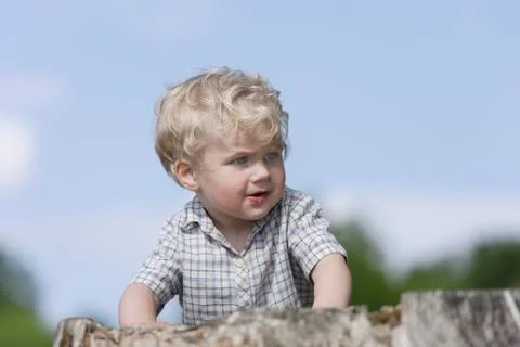 Germany, Bavaria, Boy exploring tree trunk, close up Stock Photos