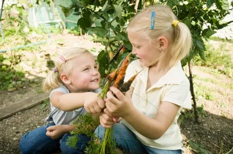 Germany, Bavaria, Girls gathering carrots in vegetable garden Stock Photos
