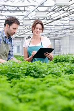 Germany, Bavaria, Munich, Mature man and woman with clip board in greenhouse Stock Photos