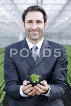 Germany, Bavaria, Munich, Mature man in greenhouse with corn salad Stock Photos