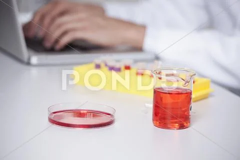 Germany, Bavaria, Munich, Red Liquid In Beaker And Petri Dish, Scientist Using