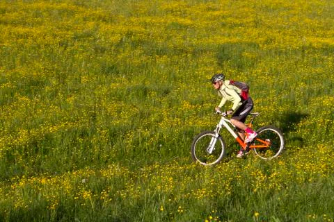 Germany, Bavaria, Schliersee, Woman mountain biking in field Stock Photos