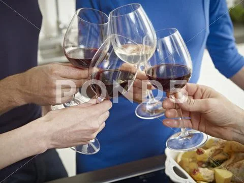 Germany, Cologne, Men and women clinking glasses Stock Photos