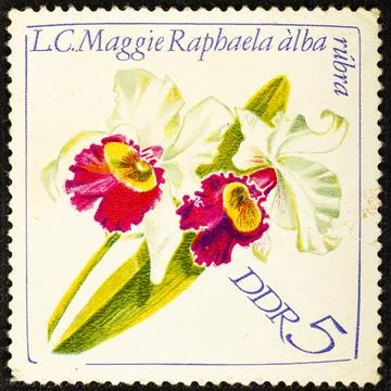 GERMANY, DDR - CIRCA 1968: a postage stamp from Germany, GDR showing the fl.. Stock Photos