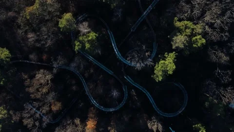 Germany. Drone. Fog in the forest. River. Boats. Wildlife. Green dense forest. Stock Footage 231784385