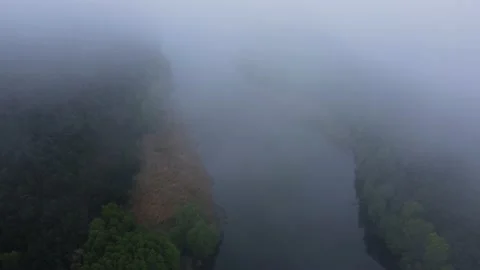 Germany. Drone. Forest. Fog. River. Boats. Wildlife. Stock Footage 231785165